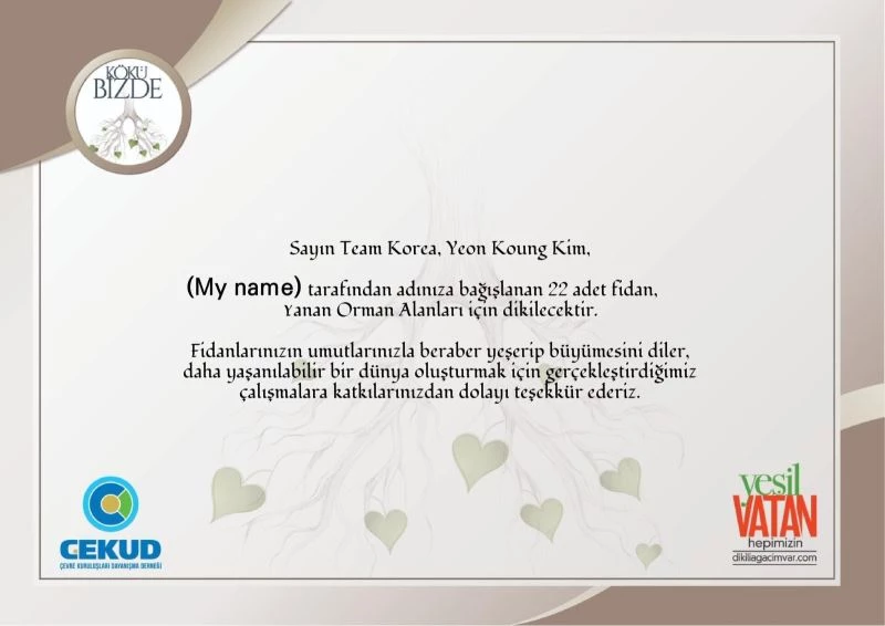 Güney Kore-Türkiye dostluğu, 120 bin fidanla kökleşecek
