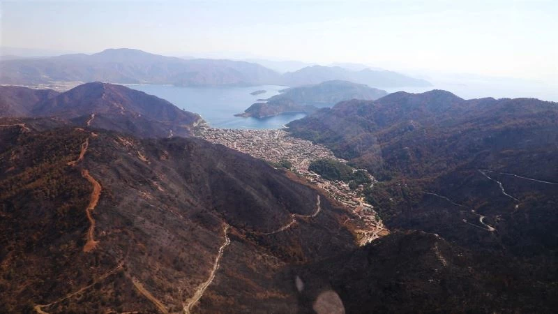 Muğla’nın orman varlığı yüzde 60’a düştü
