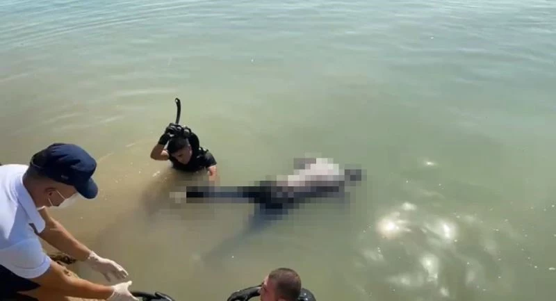 Mersin’de balıkçı barınağında ceset bulundu
