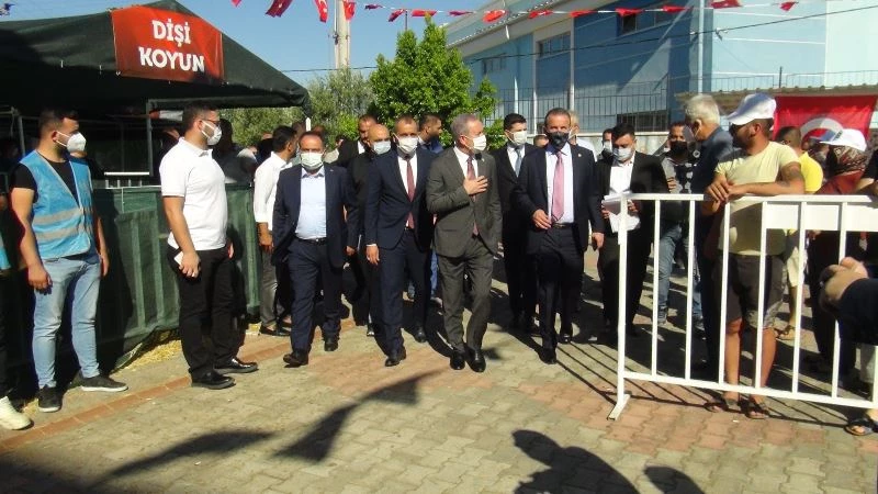 MHP’den Manavgat’a 2 bin 393 küçükbaş, 107 büyükbaş hayvan desteği
