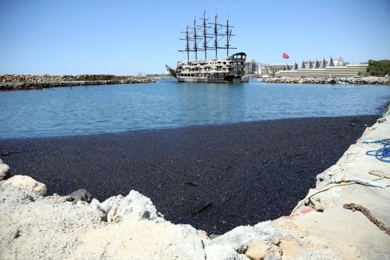 GÜNCELLEME 2 - Alanya