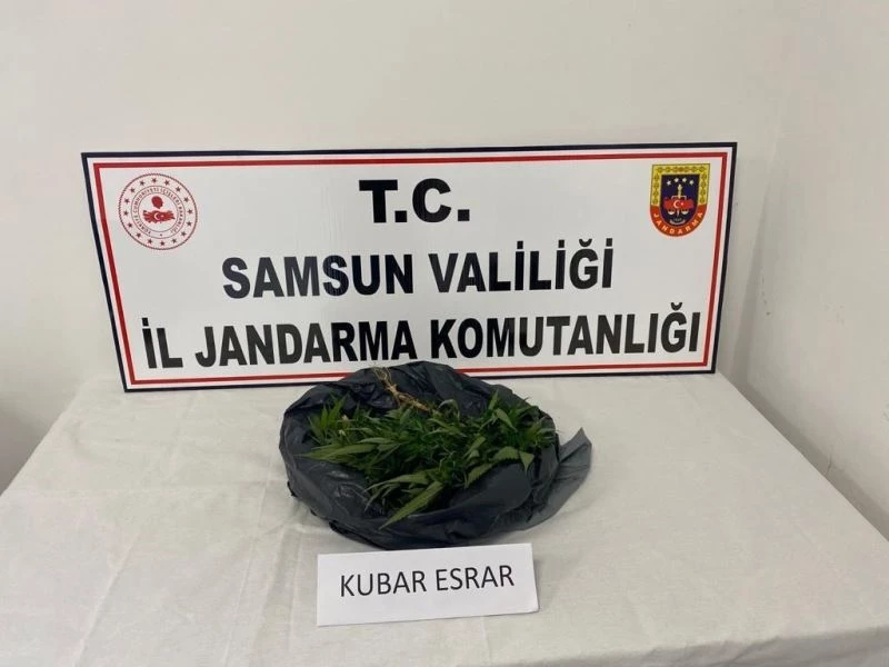 Samsun’da 540 gram kubar esrar ele geçirildi
