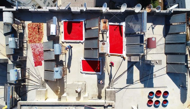 Salça sezonunun başladığı Adana’da damlar kırmızıya boyanıyor
