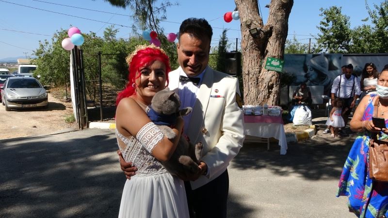 Veteriner teknikeri barınakta evlendi
