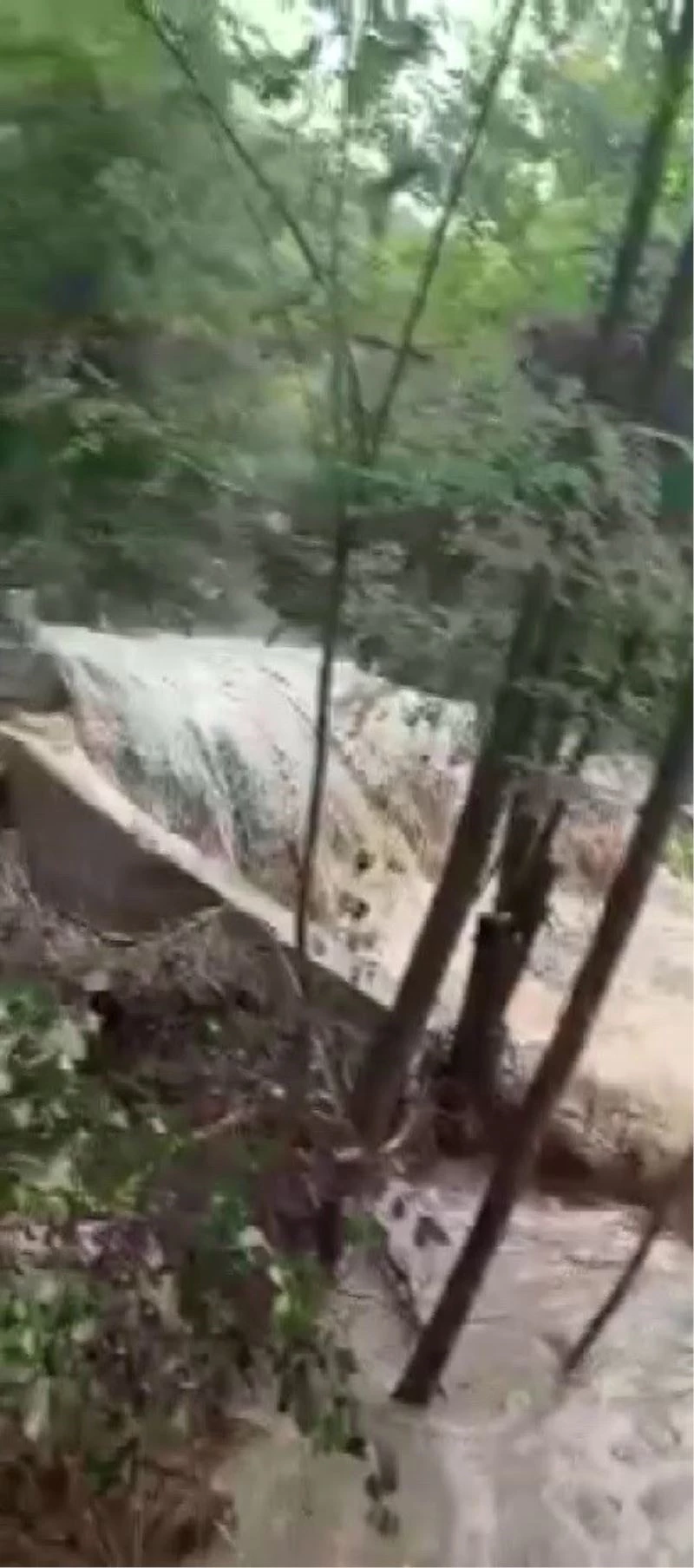 Alabalık tesisini harabe eden sel saniye saniye kaydedildi
