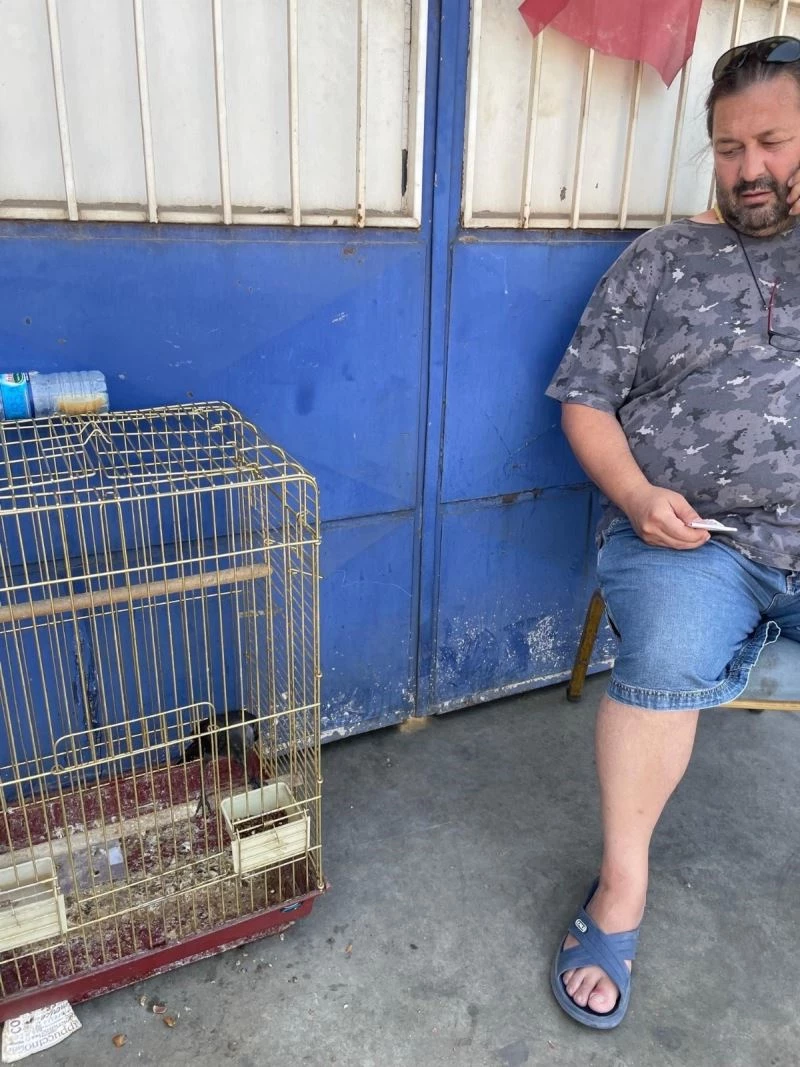 Sanayide yuvasından uçamayan yavru kargaları besliyorlar
