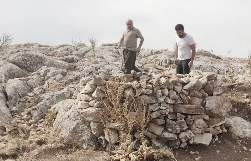 Yaban keçilerini yasadışı olarak avlamak için kurulan evsinler imha edildi
