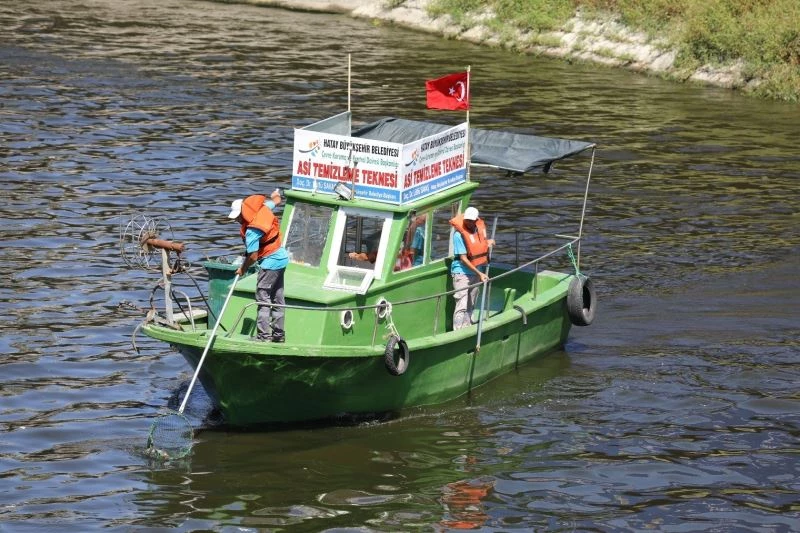 Asi Nehri’ndeki katı atık ve su sümbülleri temizleniyor
