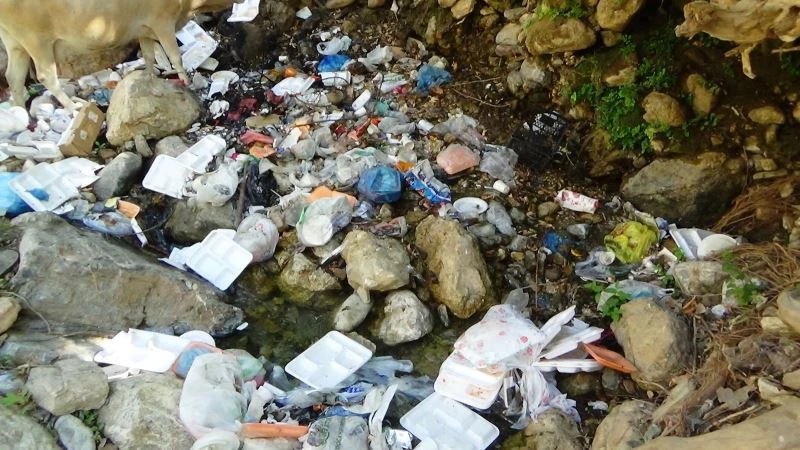 Batman’da doğa harikası mesire alanı, piknikçilerin çöpleriyle doldu
