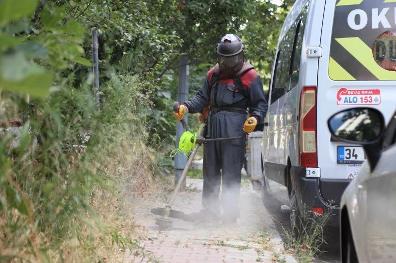 Kartal’da yabani otlar biçilerek temizlik çalışmaları yapılıyor
