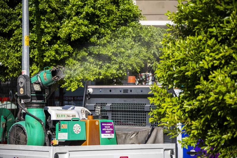 Son günlerde Mersin’i saran beyaz sineğe karşı kapsamlı mücadele başladı
