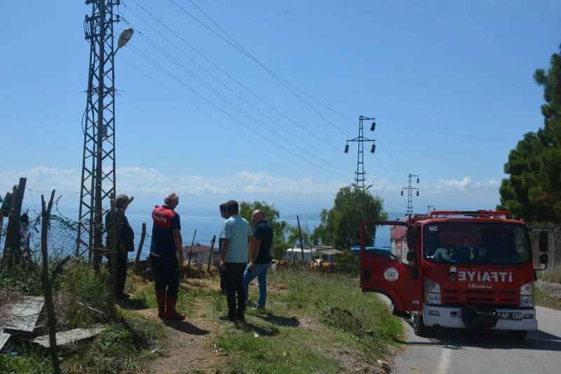 Elektrik direğinden çıkan kıvılcım yangına neden oldu
