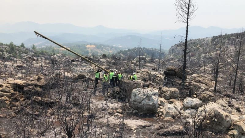 AEDAŞ, enerjisi ile ‘Manavgat’ın yanında
