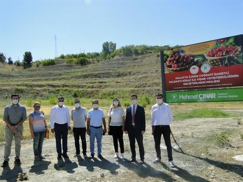 Yeşilyurt’ta kiraz ve vişne üretimi artacak
