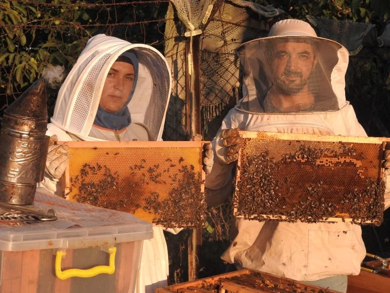 Hobi olarak başladığı arıcılıkta en büyük destekçisi eşi oldu
