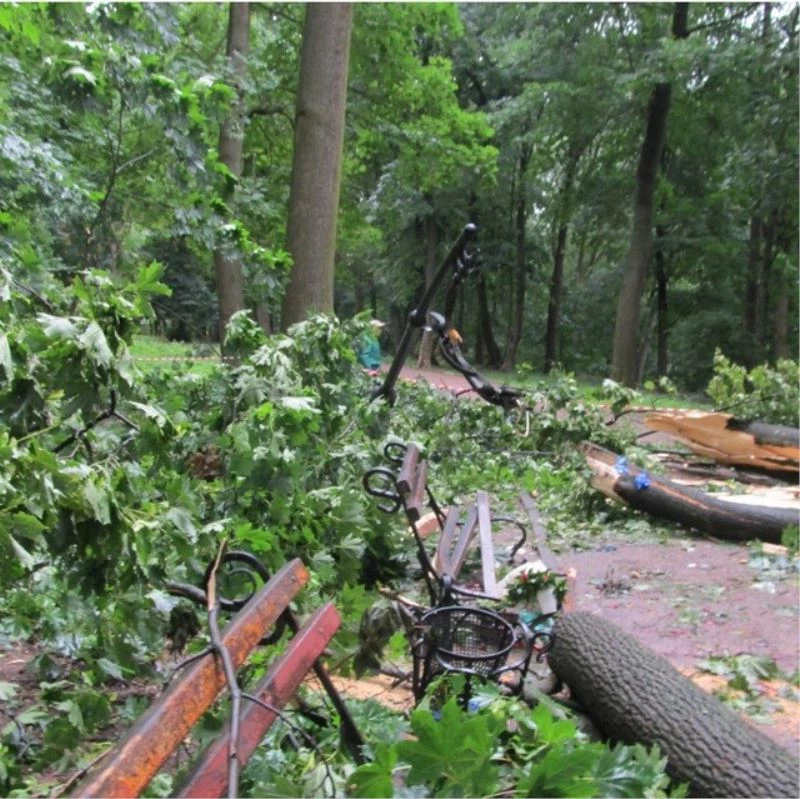 Ukrayna’da fırtınada bankta oturanların üstüne ağaç devrildi: 2 ölü
