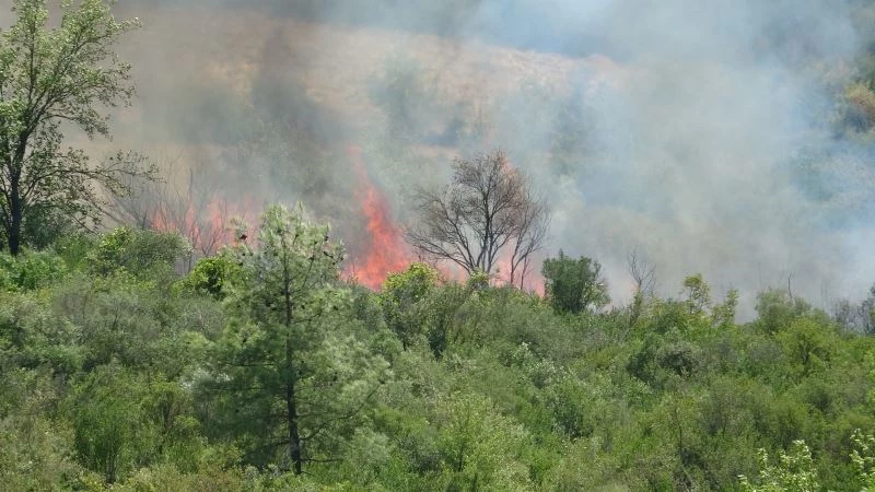 Isparta Sütçüler’deki yangın büyüyor
