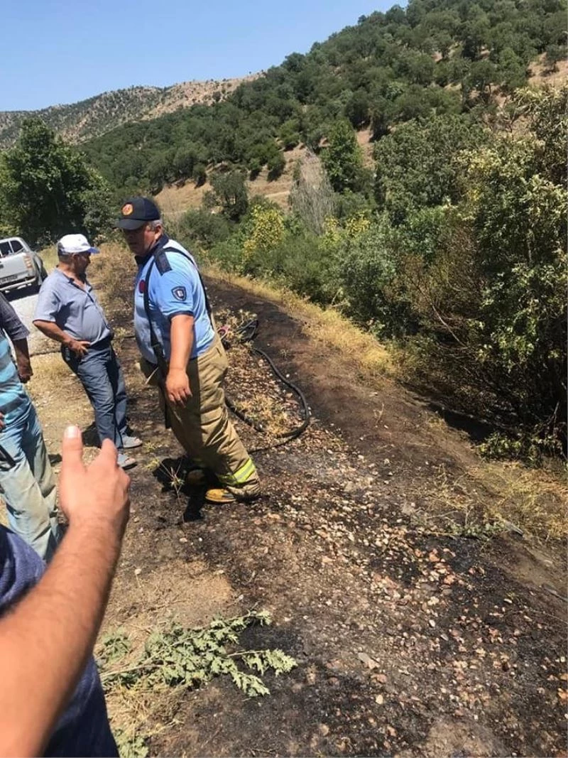 Yol kenarındaki yangını söndürmeye onlarca vatandaş koştu
