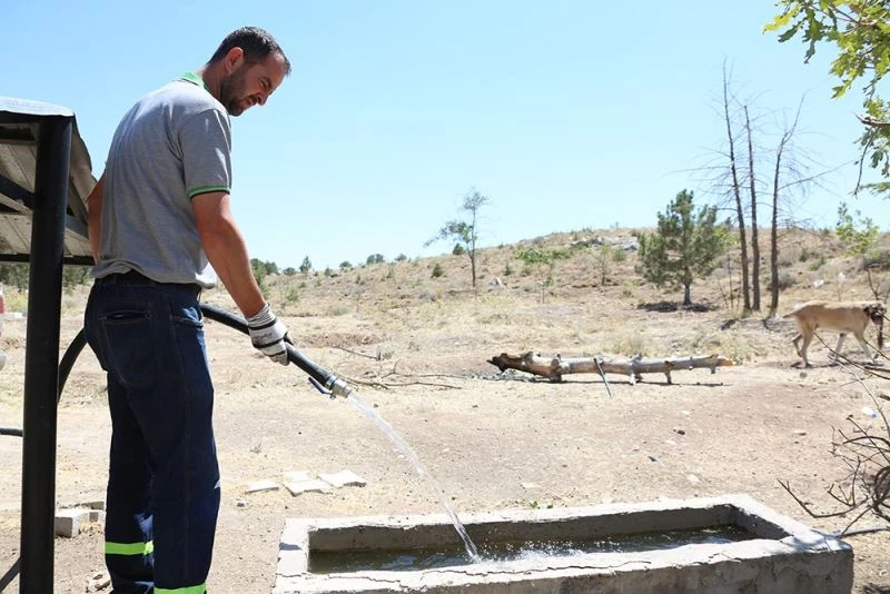 Sıcaklıklar arttı, Meram’da can dostlar unutulmadı
