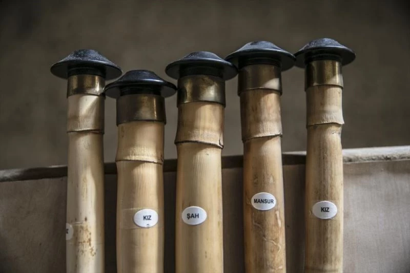 Coğrafi işaret tescili 