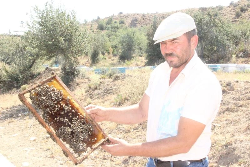 Muğla yangınının ateşi Afyonkarahisar’daki arıcıları da sardı
