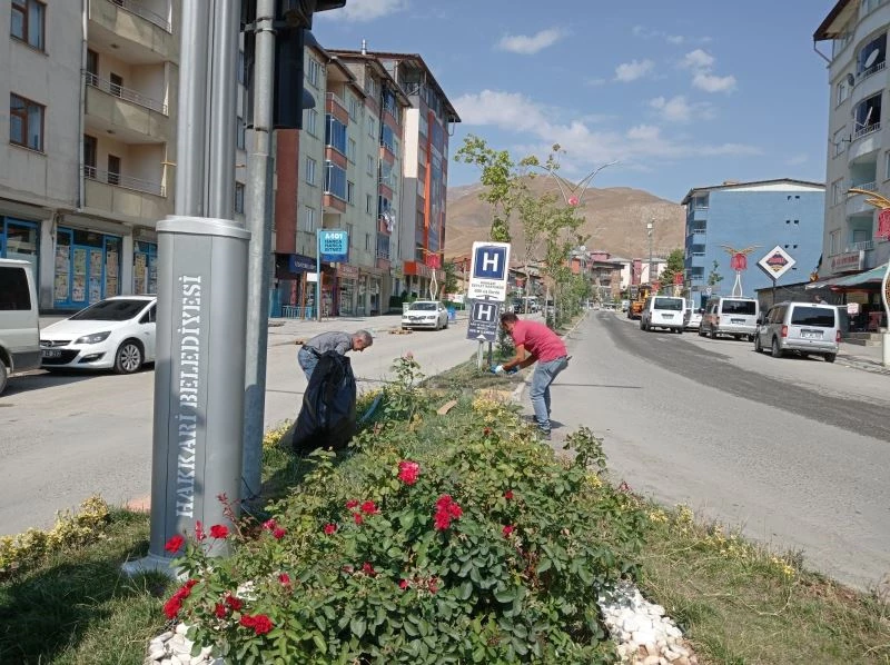 Belediye ekiplerinden ot biçme seferberliği
