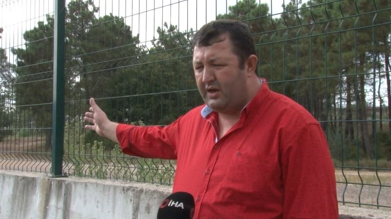 Mahalle muhtarından İBB’ye tepki: “Onlarca hayvanın açıkta kalmış cesetleri buradaydı”
