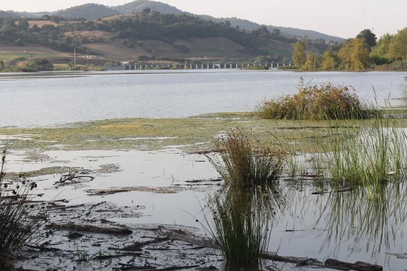 Manyas’ta 100 bin dekar tarım arazisi sulanıyor
