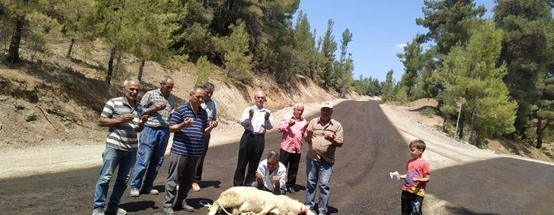 Gelen asfalt için kurban kestiler
