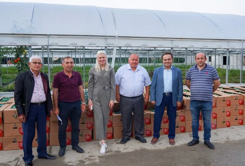 Bilecik’te 118 bin 750 adet sebze fidesini çiftçilere dağıtacak
