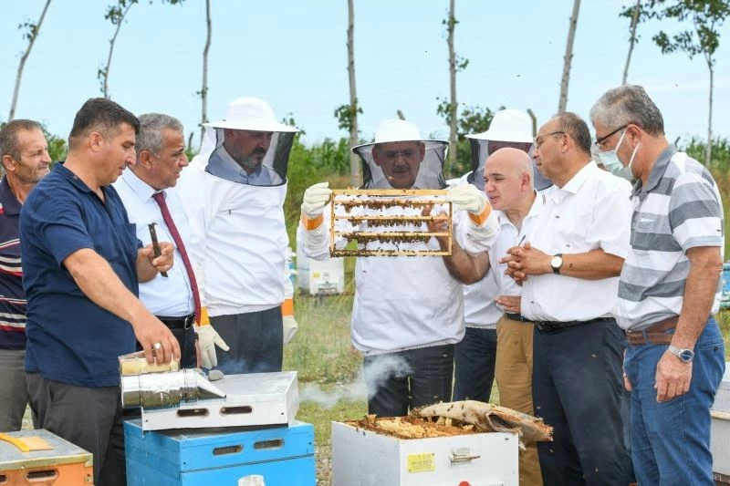 Samsun’da arıcılığa destek

