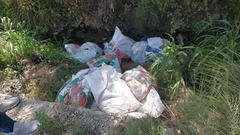 Ölü tavukları çuvallara koyup dere kenarına attılar
