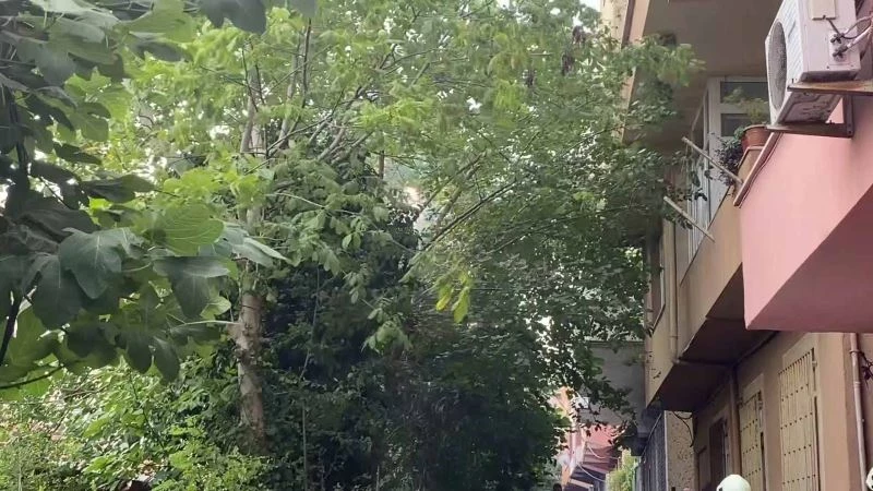 Sarıyer’de kopan elektrik kablosu alev aldı, olası faciadan dönüldü

