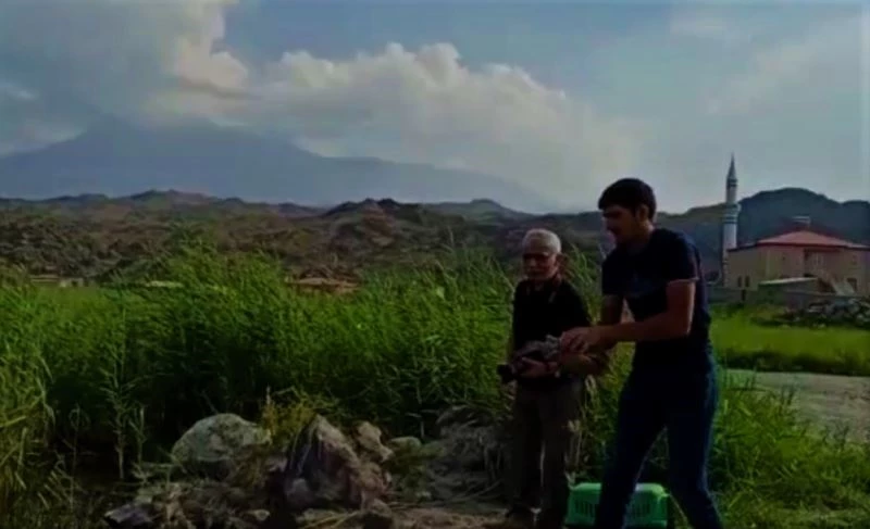 Yol üzerinde bulunan Macar ördeği doğaya bırakıldı
