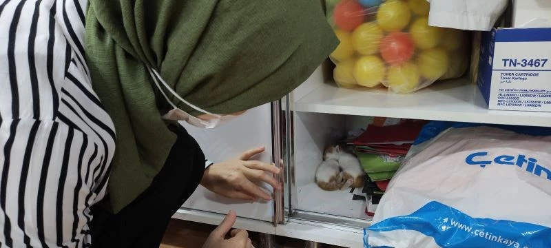 Öğretmenler odasının dolabını açınca şaşkına döndüler
