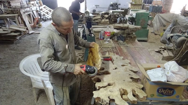 (Özel) Ömrünü tamamlamış asırlık ağaçlar sanat eserine dönüşüyor
