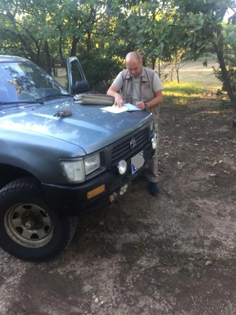 Av sezonu açıldı denetimler sıklaştırıldı
