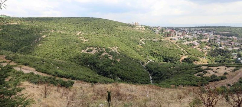 Başkan Büyükakın: 