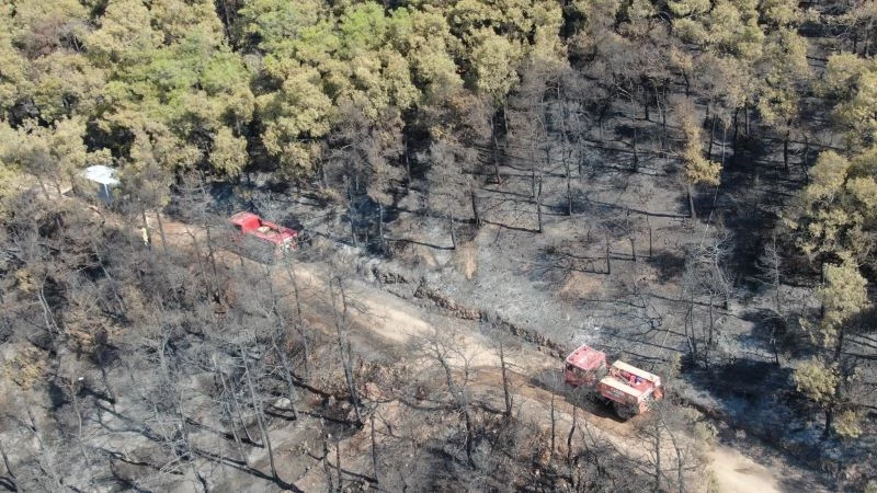 Heybeliada’da soğutma çalışmaları havadan görüntülendi
