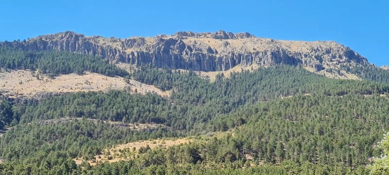 Anadolu Parsı unvanı için 2 bin 499 metrelik Köroğlu Dağı’na tırmandı
