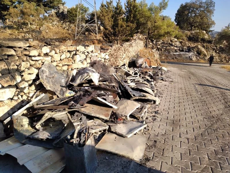 Yangın sonrası tabiatın dengesini sağlayan arılarda açlık tehlikesi
