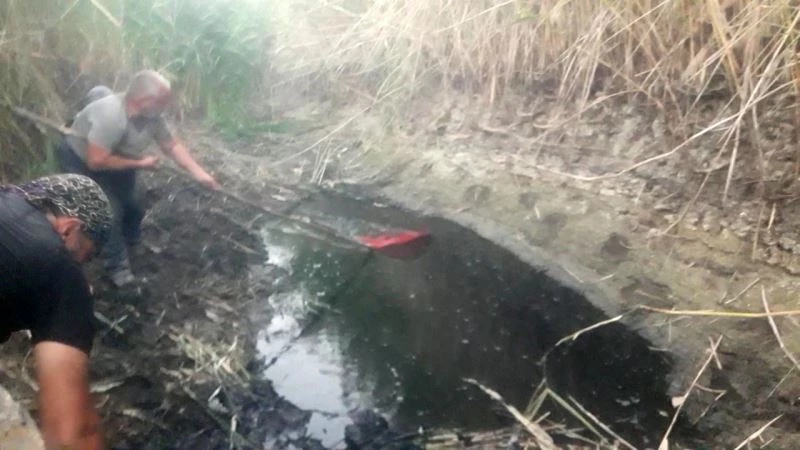 Suyu biten göletten 4 bin balığı kurtardılar
