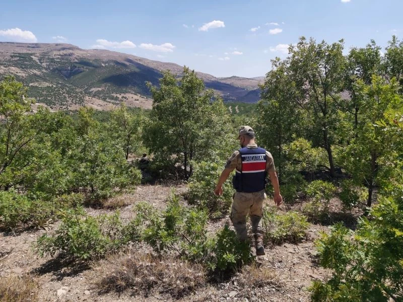 Jandarma’dan ormanlara drone ile kontrol
