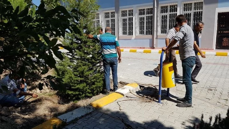 Pansiyon yapılacak alandaki ağaçlar nakil edildi
