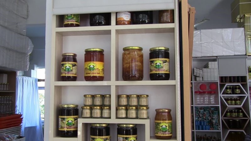 Küresel iklim değişikliği ve afetlerden en çok etkilenen arılar oldu
