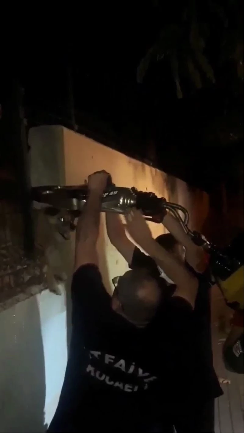 Demir parmaklıklara sıkışan köpeği itfaiye kurtardı
