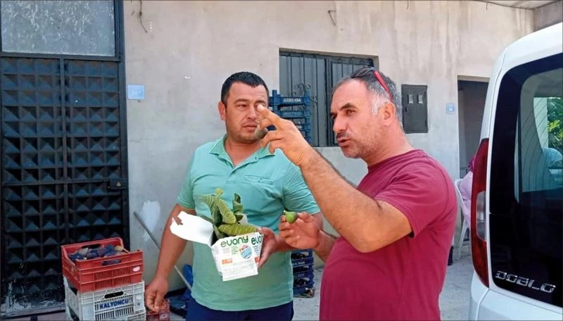 Mudanya Tarım Müdürlüğü, çiftçilere zararlılarla mücadeleyi anlattı
