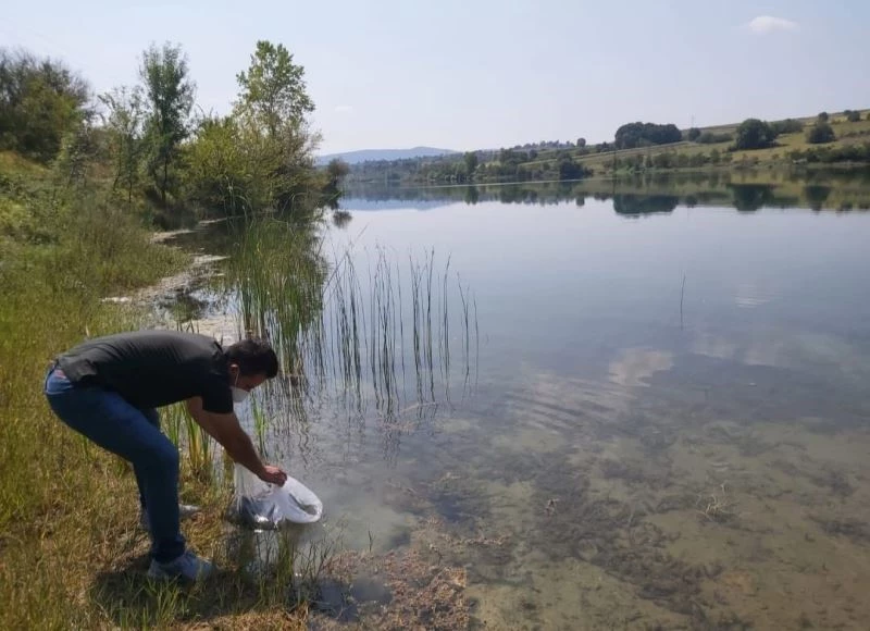 Kandıra’daki göletlere 64 bin yavru sazan bırakıldı
