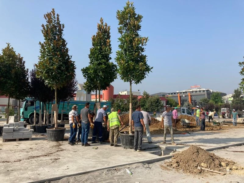 Düzce kent merkezinde 49 ağacın dikimine başlandı
