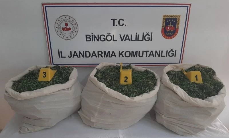 Bingöl’de terörün finans kaynağına darbe
